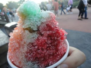 Epcot - kakigori