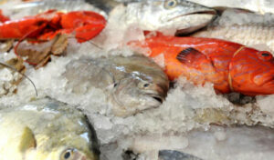 Mesin Pemajang Seafood (Mesin Low Temperature Freezer)