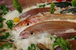 Mesin Pembuat Es Salju Untuk IKan