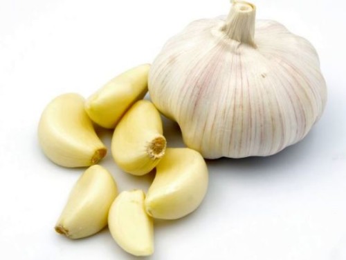 Bawang Putih
