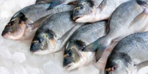 Ikan, Es, Daging