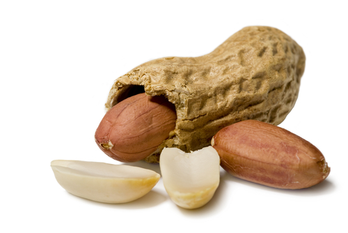 Kacang