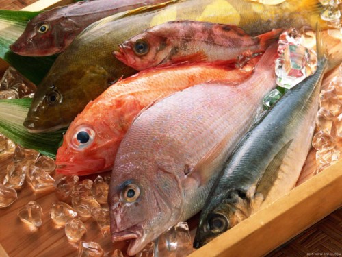 Sisik Ikan