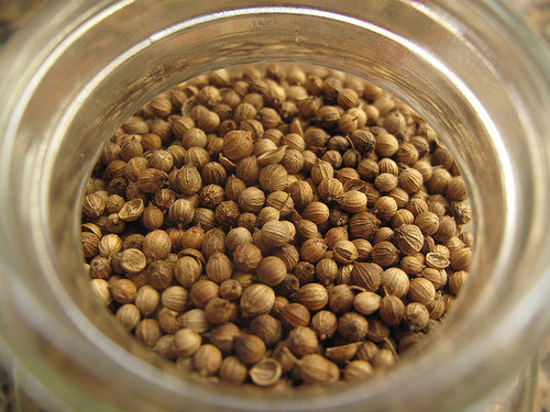 Biji Kering