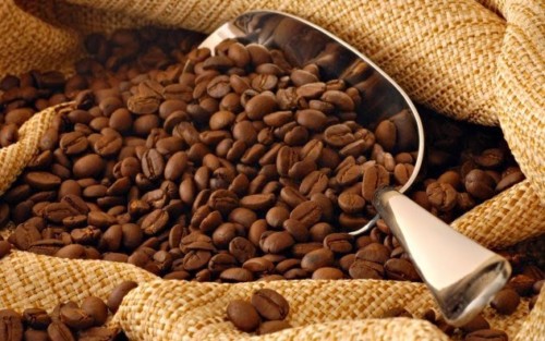 Kulit Kopi