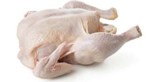 mesin-cabut-bulu-ayam-dan-unggas