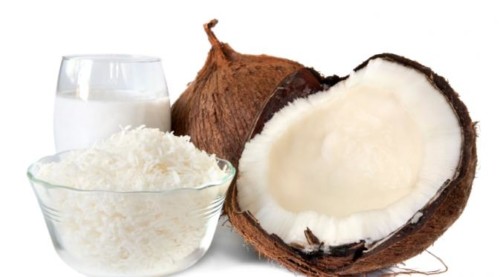 mesin parut kelapa