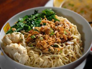 aplikasi-mesin-pembuat-mie-pangsit