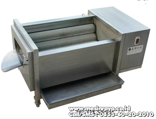 mesin-pencuci-buah-kapasitas-5-ton-brush-roller-root-fruit-washer-peeler-qx-818