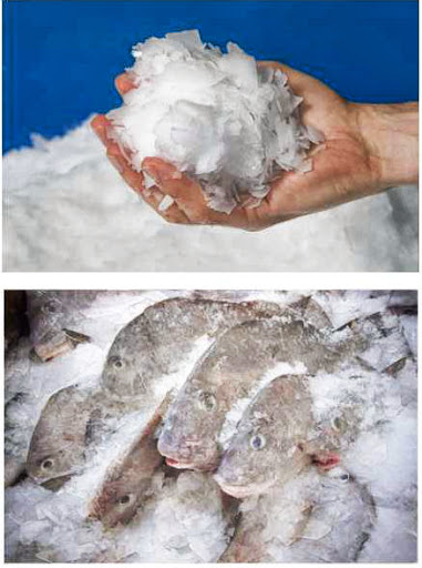 Mesin Pembuat Es Batu Beku (Ice Scaler) Kapasitas 600 - 800 Kg : SKU-4565 Mesin Pembuat Es Batu Beku (Ice Scaler) Kapasitas 600 - 800 Kg : SKU-4565