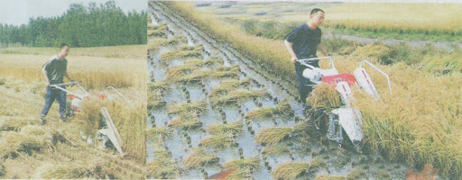Mesin Pemanen Padi : SKU-1469 Mesin Pemanen Padi : SKU-1469