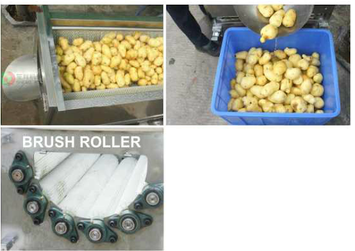 Mesin Pencuci Buah Kapasitas 5 Ton (Brush Roller Root Fruit Washer Peeler) : SKU-5898 Mesin Pencuci Buah Kapasitas 5 Ton (Brush Roller Root Fruit Washer Peeler) : SKU-5898