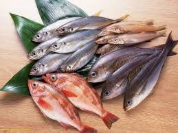 mesin pemisah tulang ikan