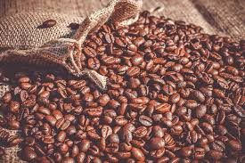 mesin pengupas kulit kopi