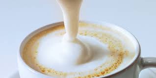 alat pembuat busa susu