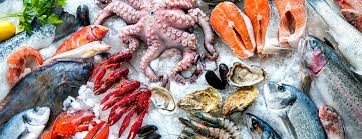 mesin penyimpan seafood