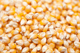 mesin pemipil jagung