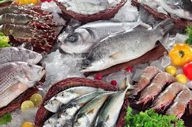 tempat pemajang ikan