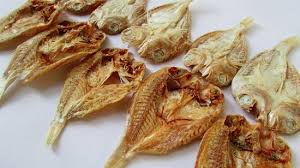alat pengering ikan