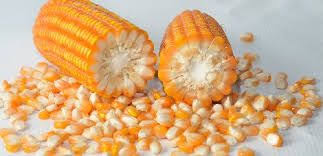 mesin pemipil jagung