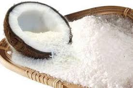 mesin pemarut kelapa