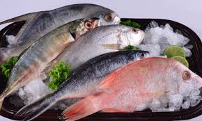 alat pembersih sisik ikan