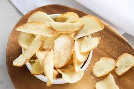 mesin pengering makanan