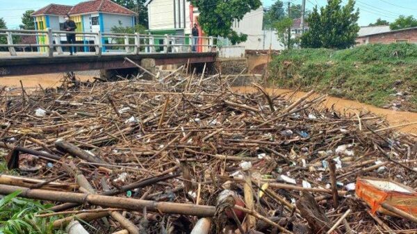 Mesin Pengolah Limbah Ranting Pohon Dan Daun Menjadi Pelet Kapasitas di ...